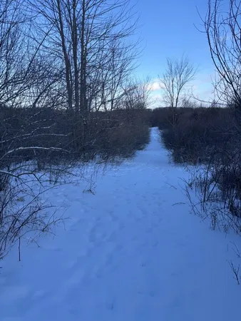 $219,000 | 6711 South Tripp Road, Osseo, MI 49266