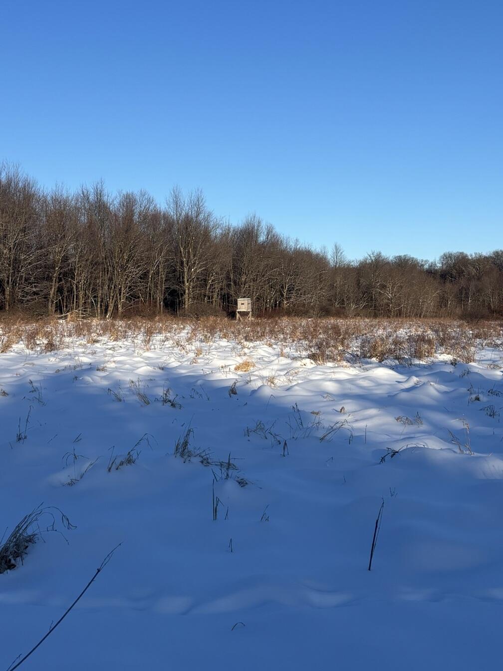 6711 South Tripp Road Osseo, MI 49266 - Photo 6 of 9 5