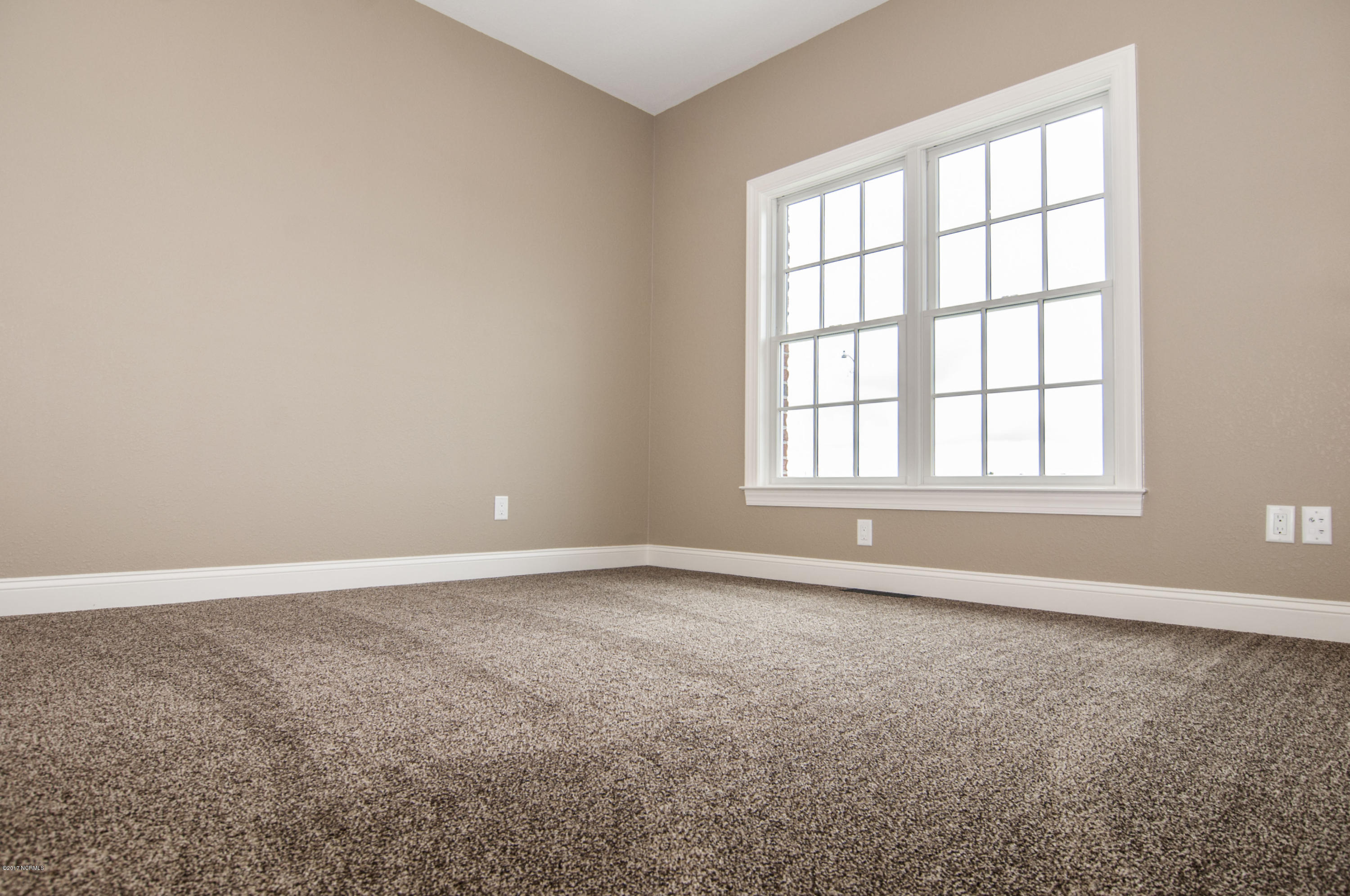 166 Jackson Swamp Road Bath, NC 27808 - Photo 47 of 80 046BR2