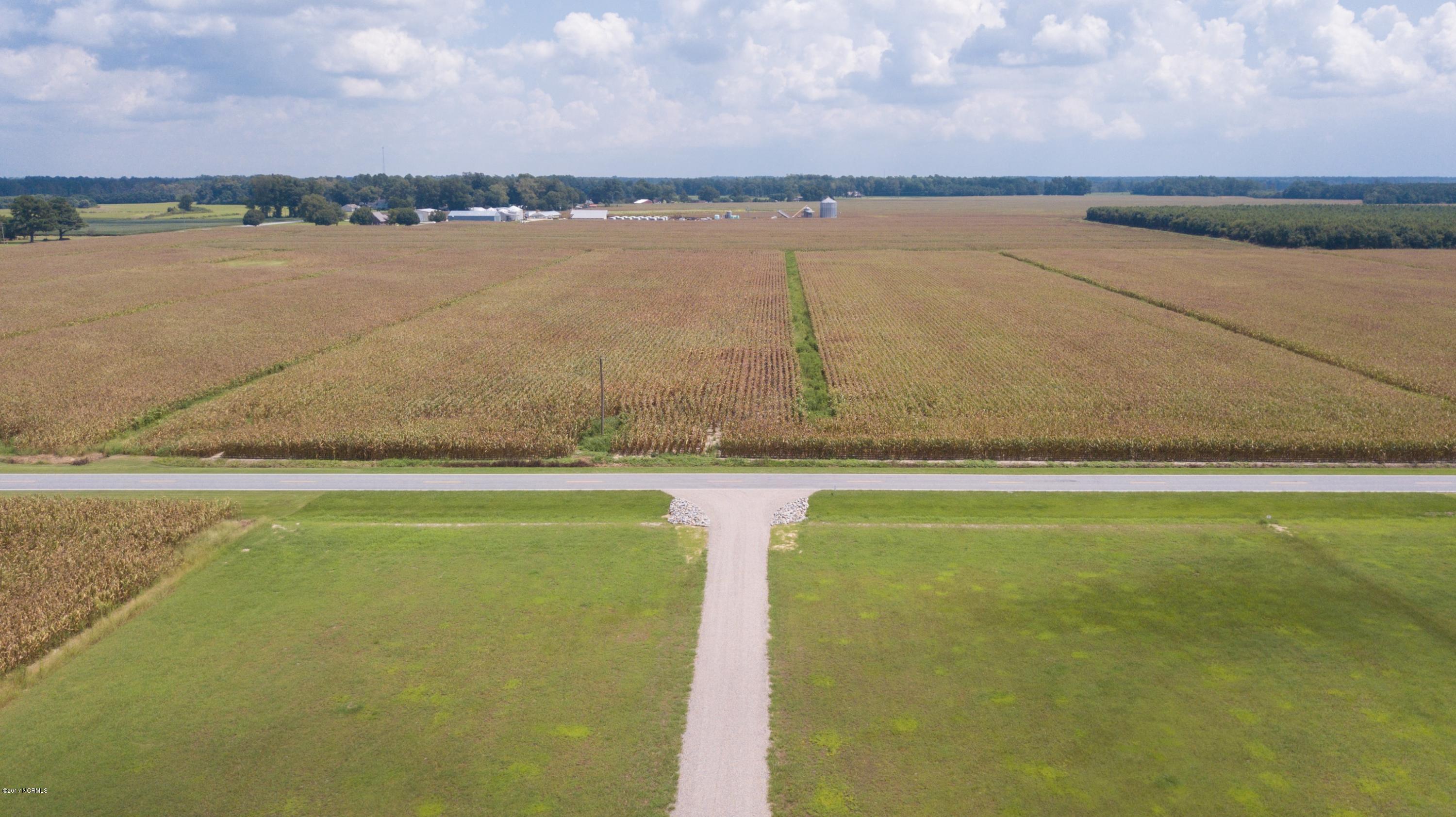 166 Jackson Swamp Road Bath, NC 27808 - Photo 77 of 80 076 Aerial