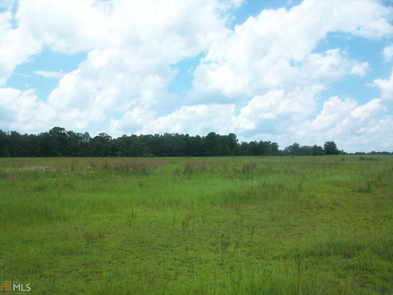 0 Wesley Church Road Butler, GA 31006 - Photo 1 of 1 Gallery Image 1