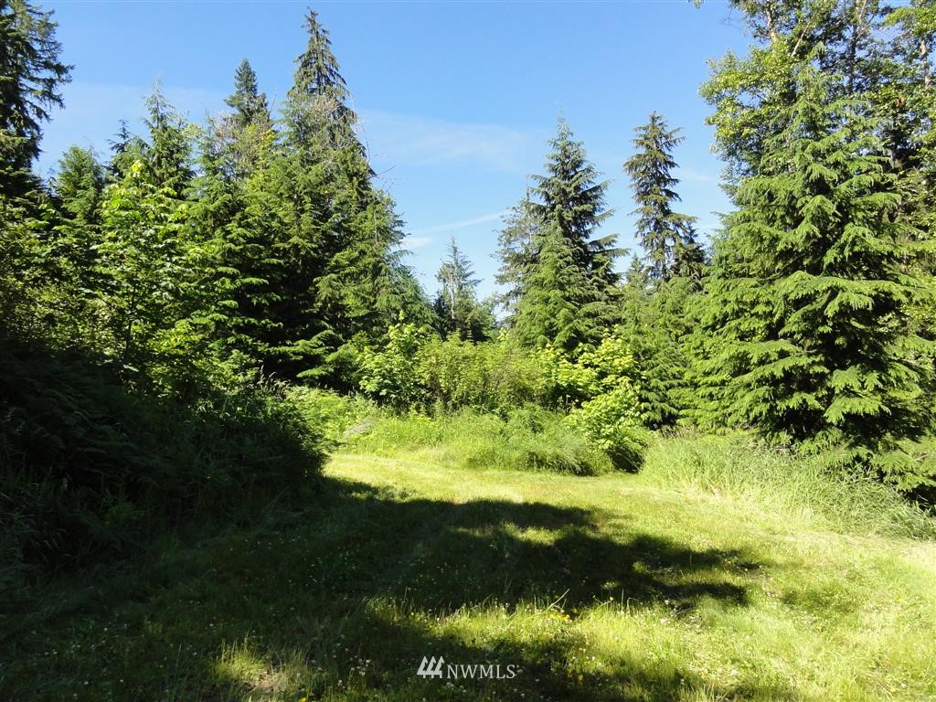 0 Butler Road Randle, WA 98377 - Photo 2 of 25 Gallery Image 2