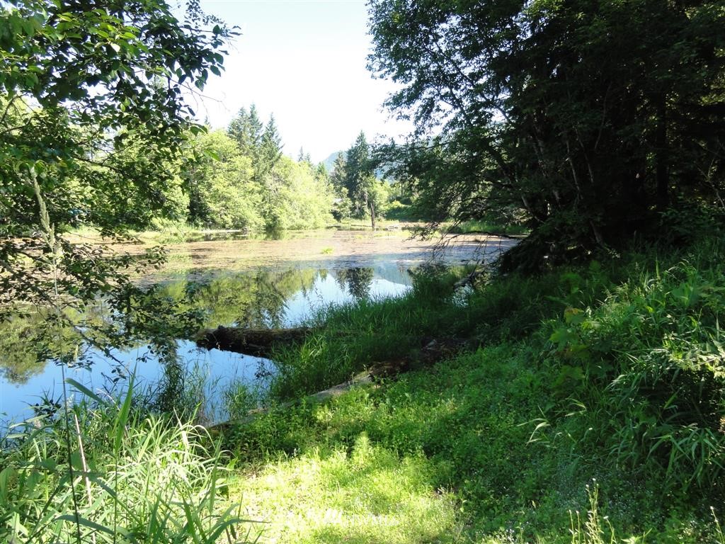 0 Butler Road Randle, WA 98377 - Photo 13 of 25 Gallery Image 13