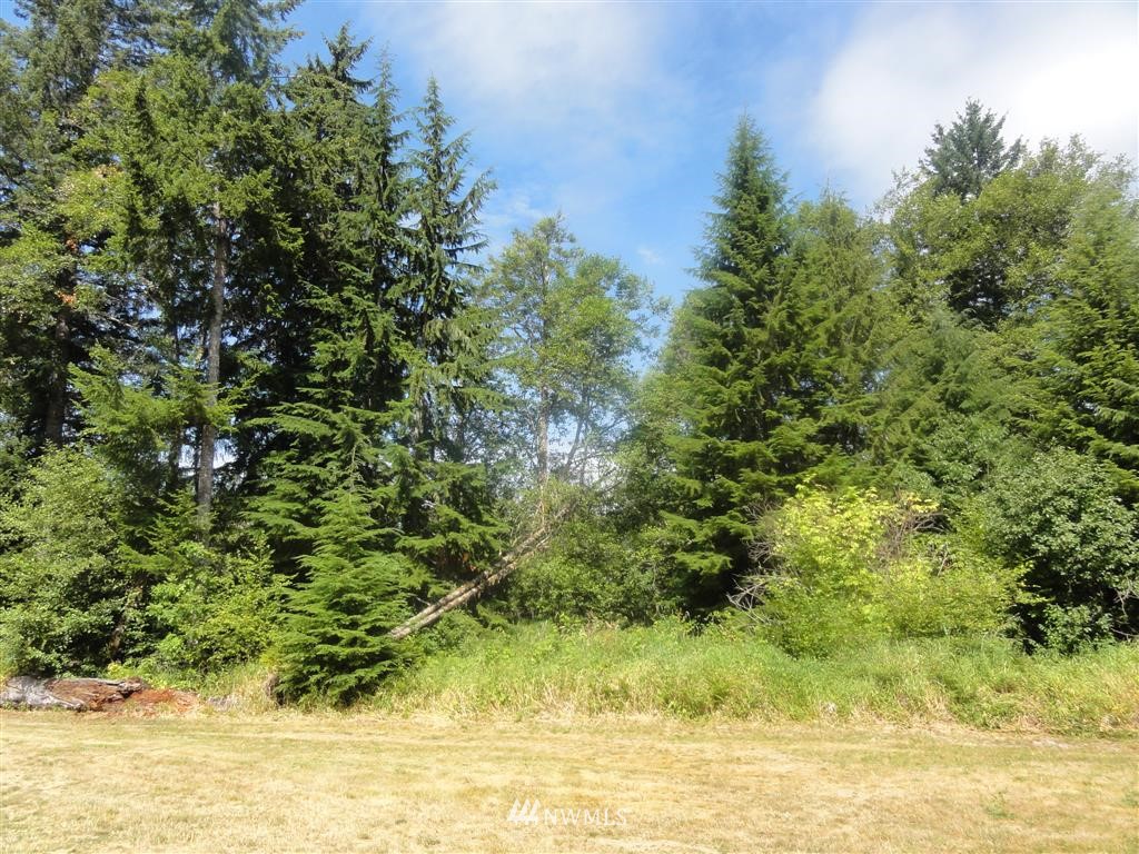 0 Butler Road Randle, WA 98377 - Photo 14 of 25 Gallery Image 14