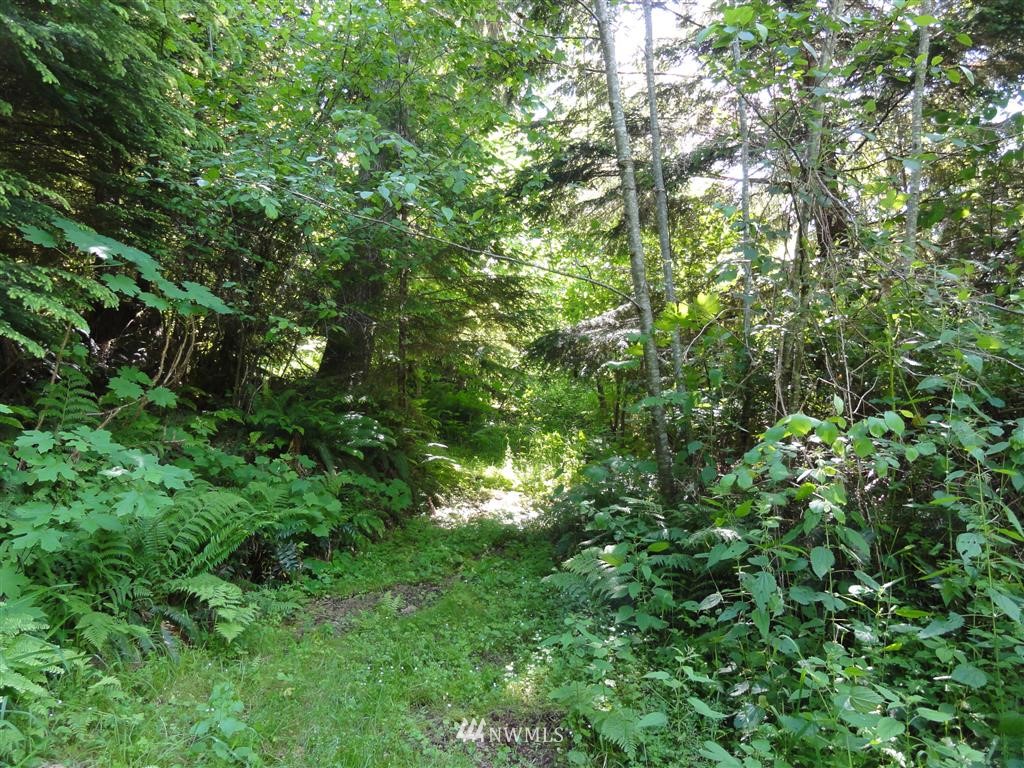 0 Butler Road Randle, WA 98377 - Photo 15 of 25 Gallery Image 15
