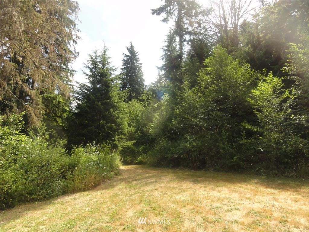 0 Butler Road Randle, WA 98377 - Photo 16 of 25 Gallery Image 16