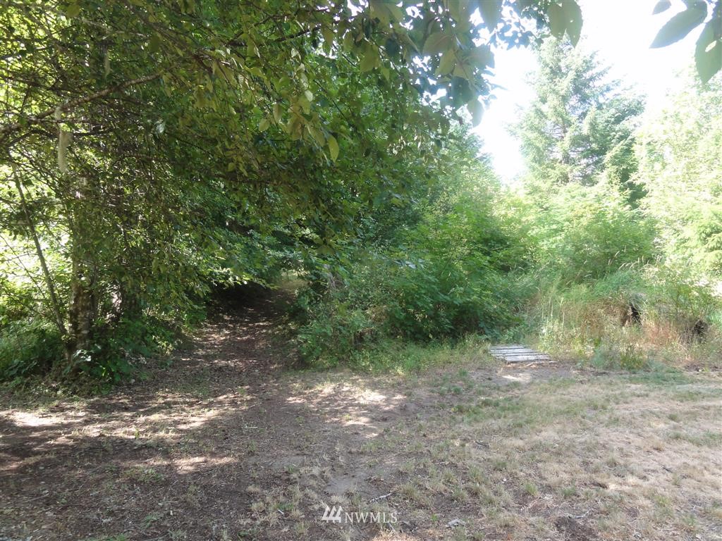 0 Butler Road Randle, WA 98377 - Photo 17 of 25 Gallery Image 17