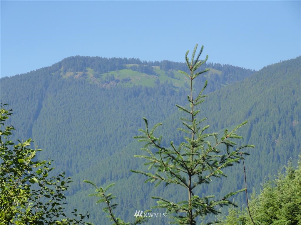 0 Butler Road Randle, WA 98377 - Photo 19 of 25 Gallery Image 19