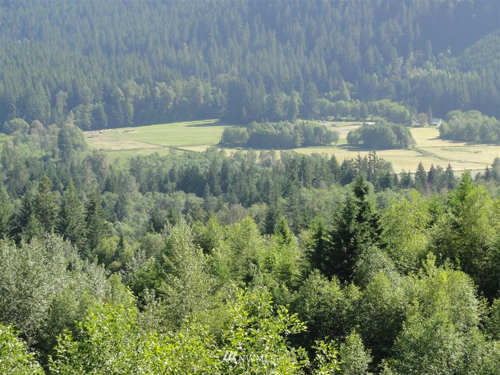 0 Butler Road Randle, WA 98377 - Photo 20 of 25 Gallery Image 20
