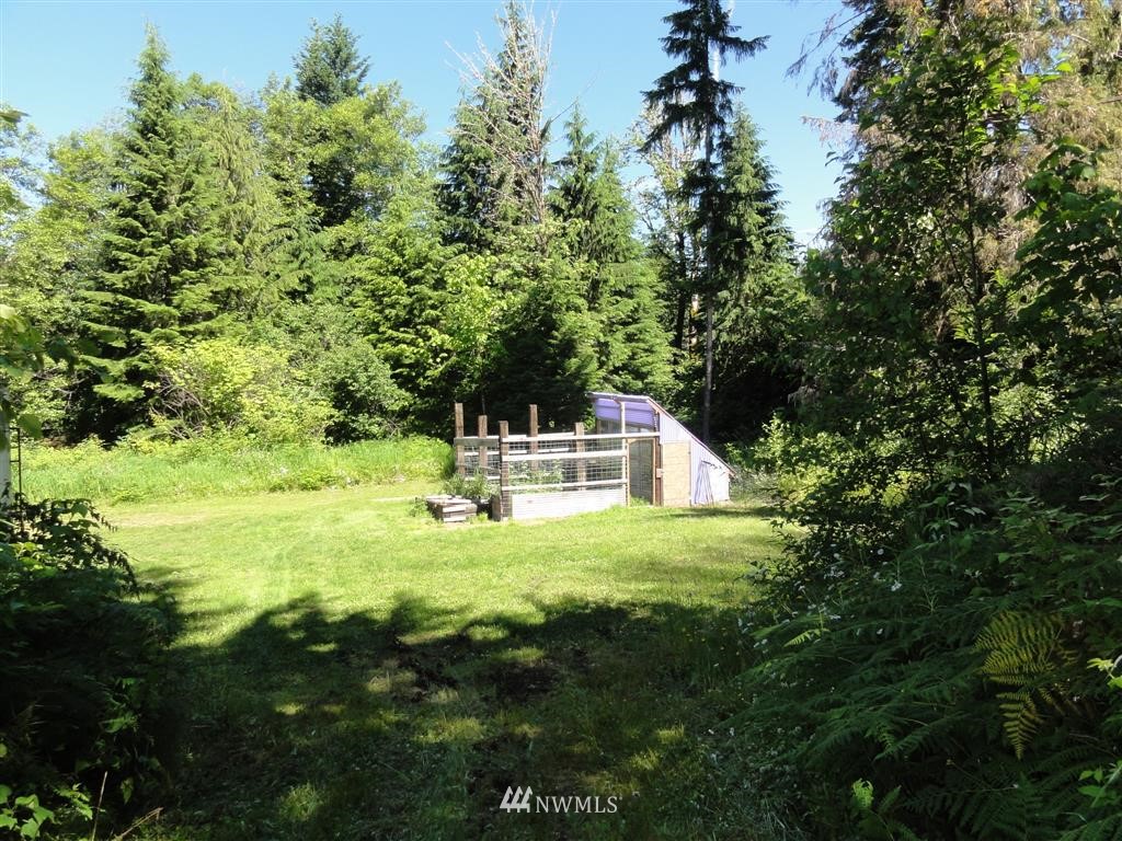 0 Butler Road Randle, WA 98377 - Photo 3 of 25 Gallery Image 3