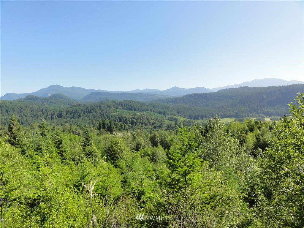 0 Butler Road Randle, WA 98377 - Photo 23 of 25 Gallery Image 23