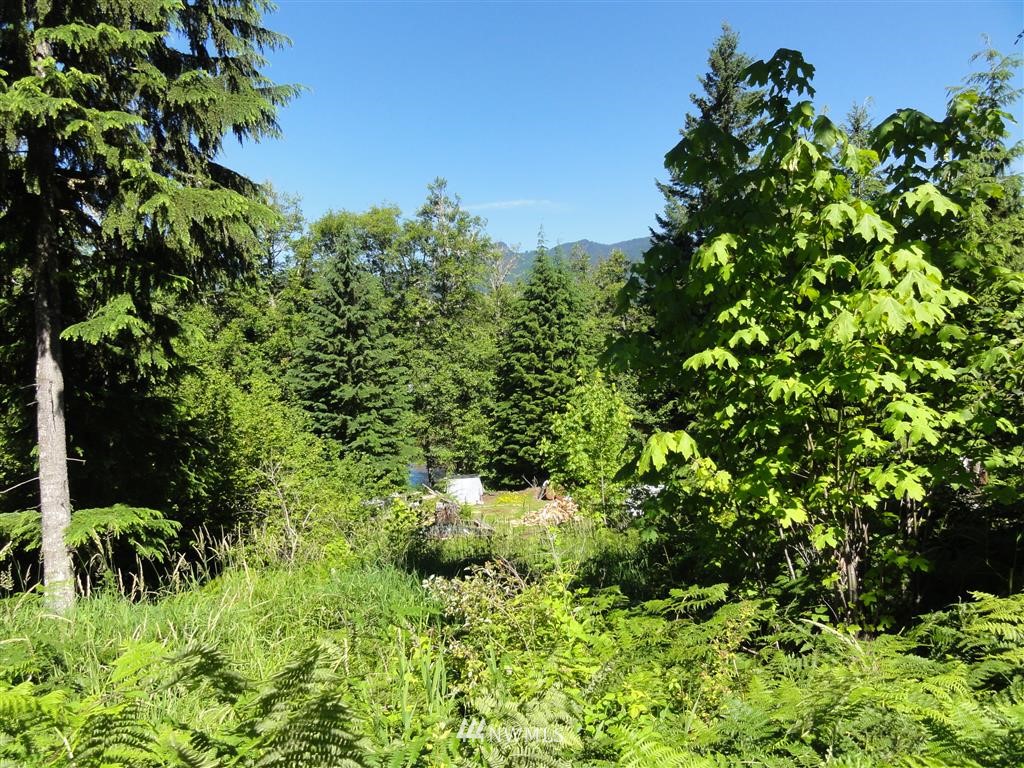 0 Butler Road Randle, WA 98377 - Photo 24 of 25 Gallery Image 24