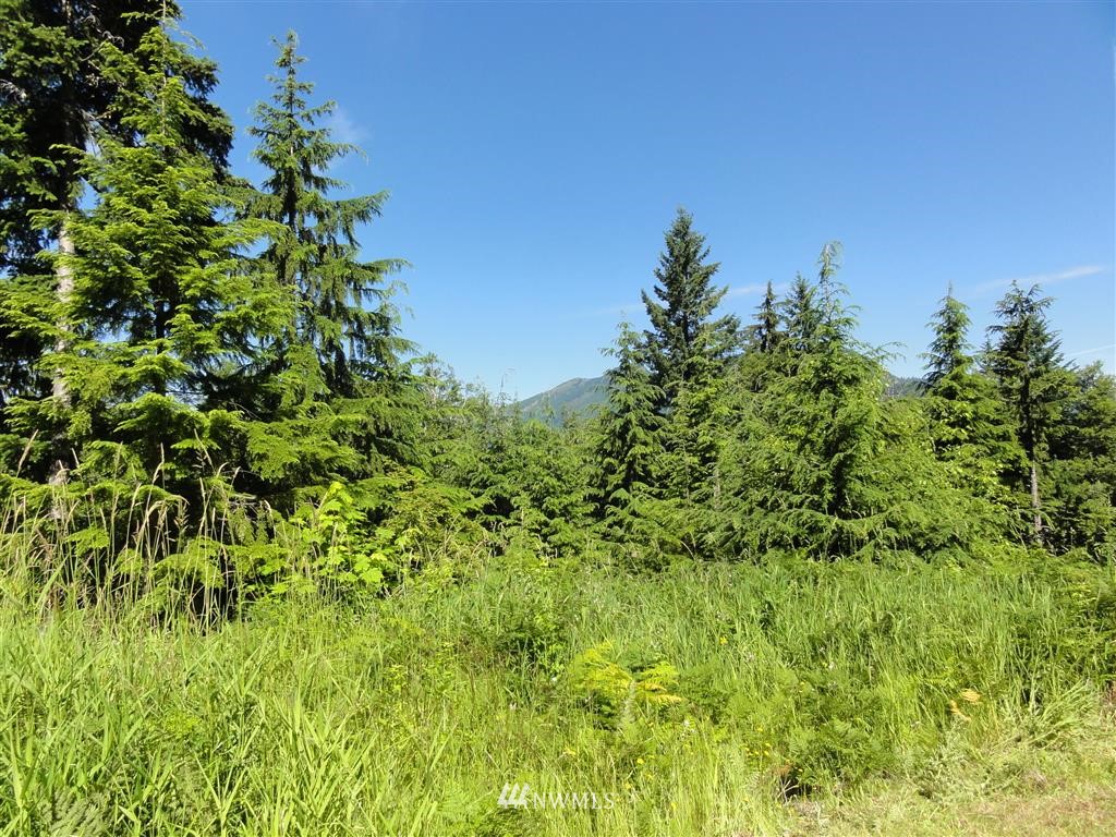0 Butler Road Randle, WA 98377 - Photo 25 of 25 Gallery Image 25
