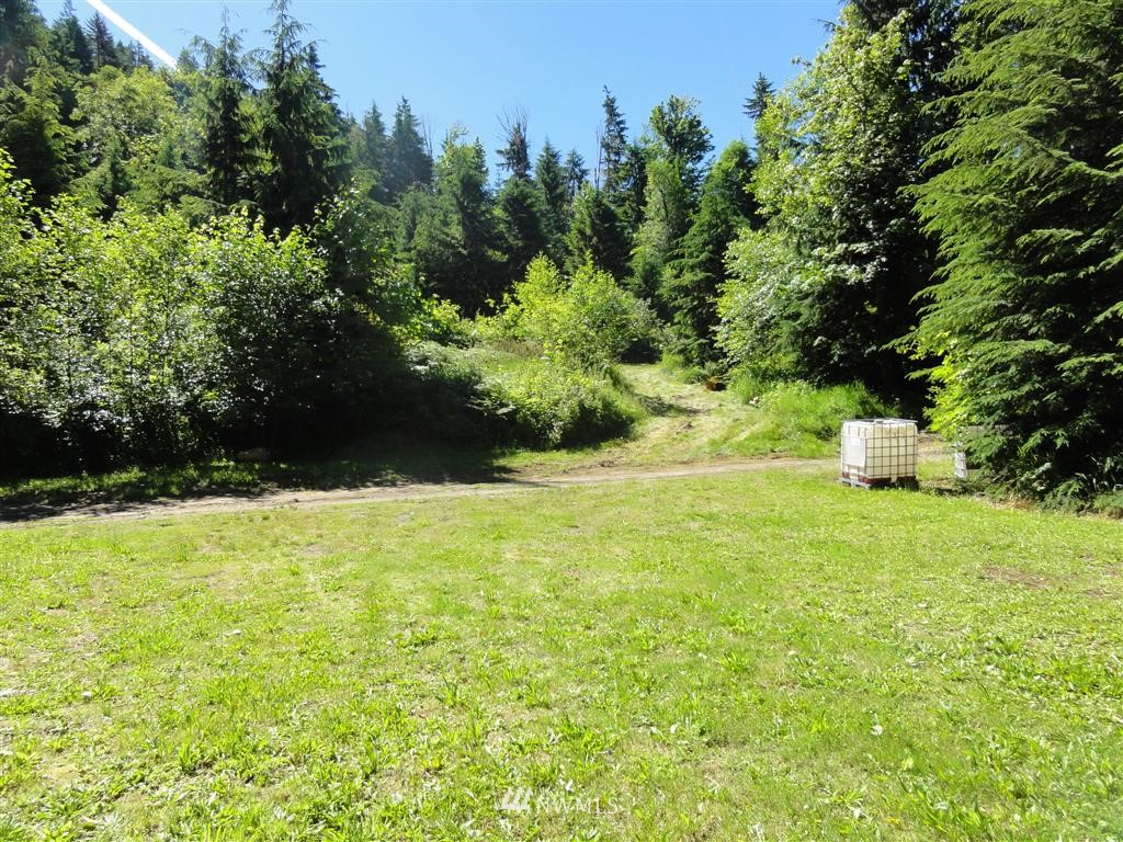 0 Butler Road Randle, WA 98377 - Photo 5 of 25 Gallery Image 5
