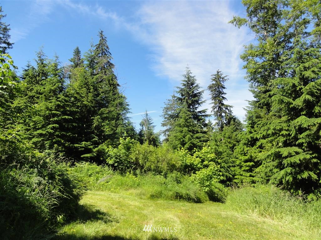 0 Butler Road Randle, WA 98377 - Photo 6 of 25 Gallery Image 6