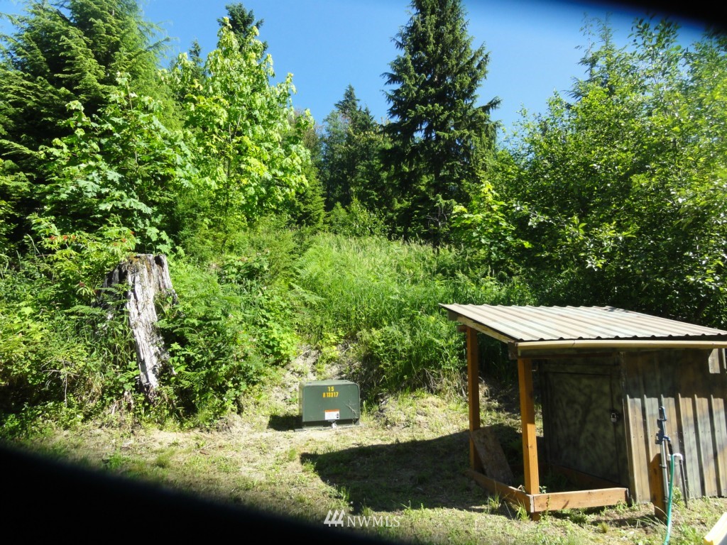 0 Butler Road Randle, WA 98377 - Photo 7 of 25 Gallery Image 7