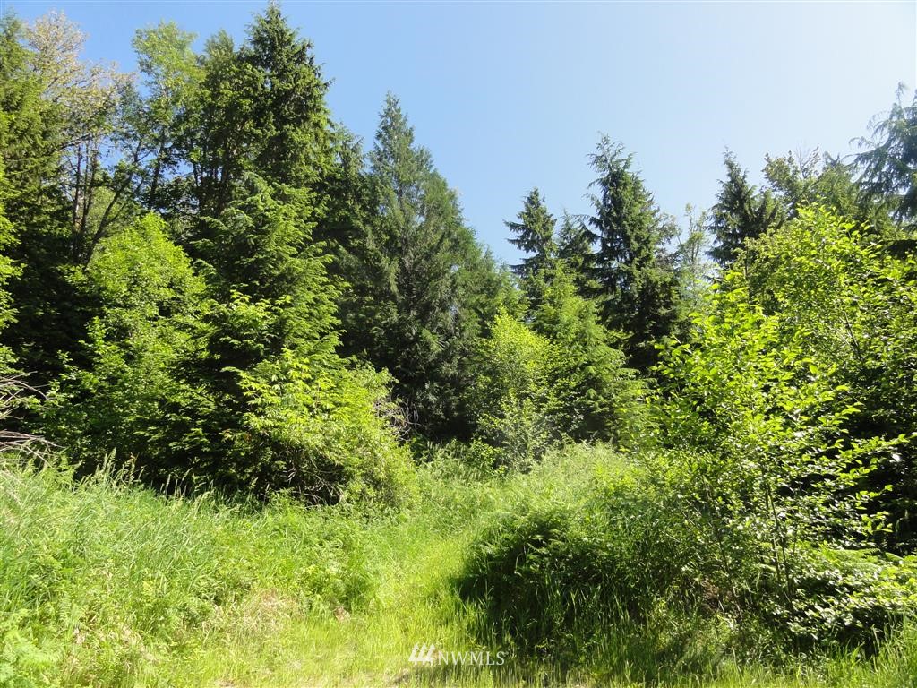 0 Butler Road Randle, WA 98377 - Photo 9 of 25 Gallery Image 9