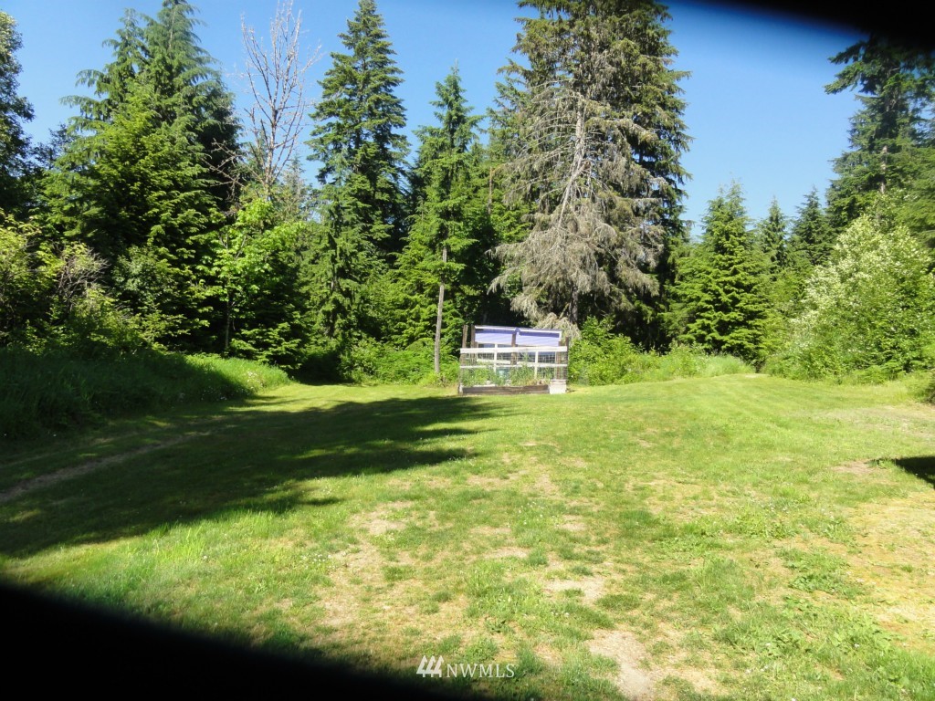 0 Butler Road Randle, WA 98377 - Photo 10 of 25 Gallery Image 10