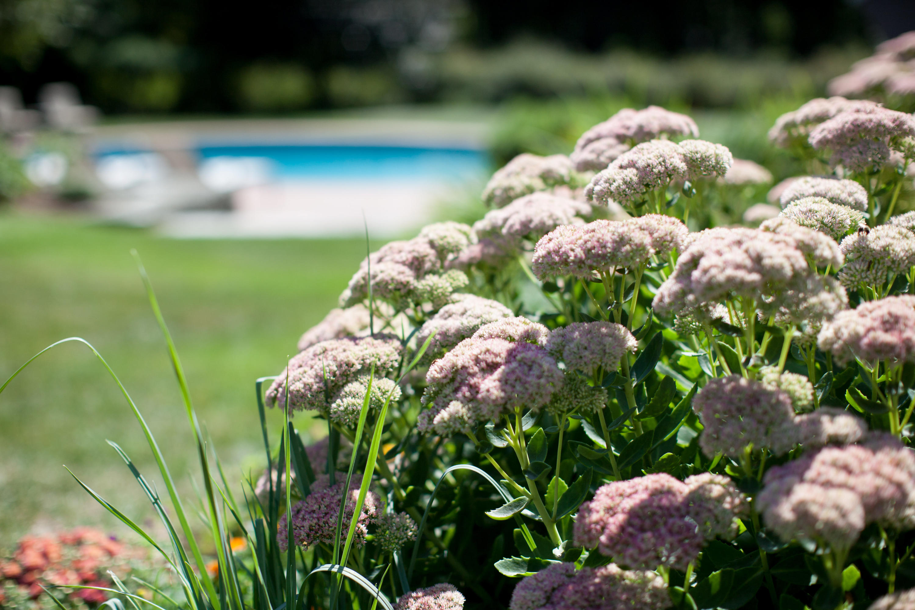 37 Raynes Neck Road York, ME 03909 - Photo 41 of 50 37 Raynes Neck Road