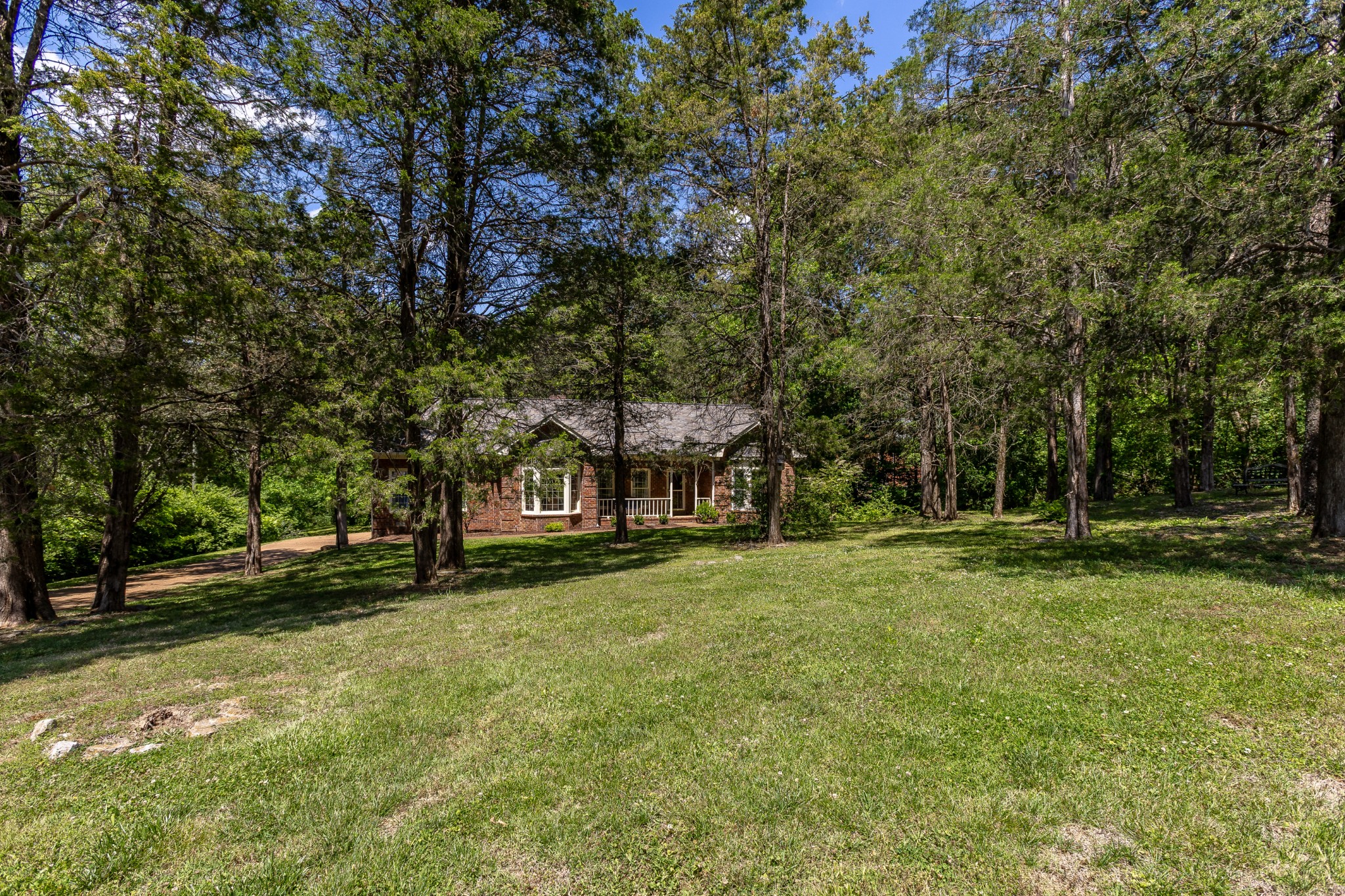 1111 Temple Ridge Court Nashville, TN 37221 - Photo 2 of 46 a view of a trees in a yard with palm trees