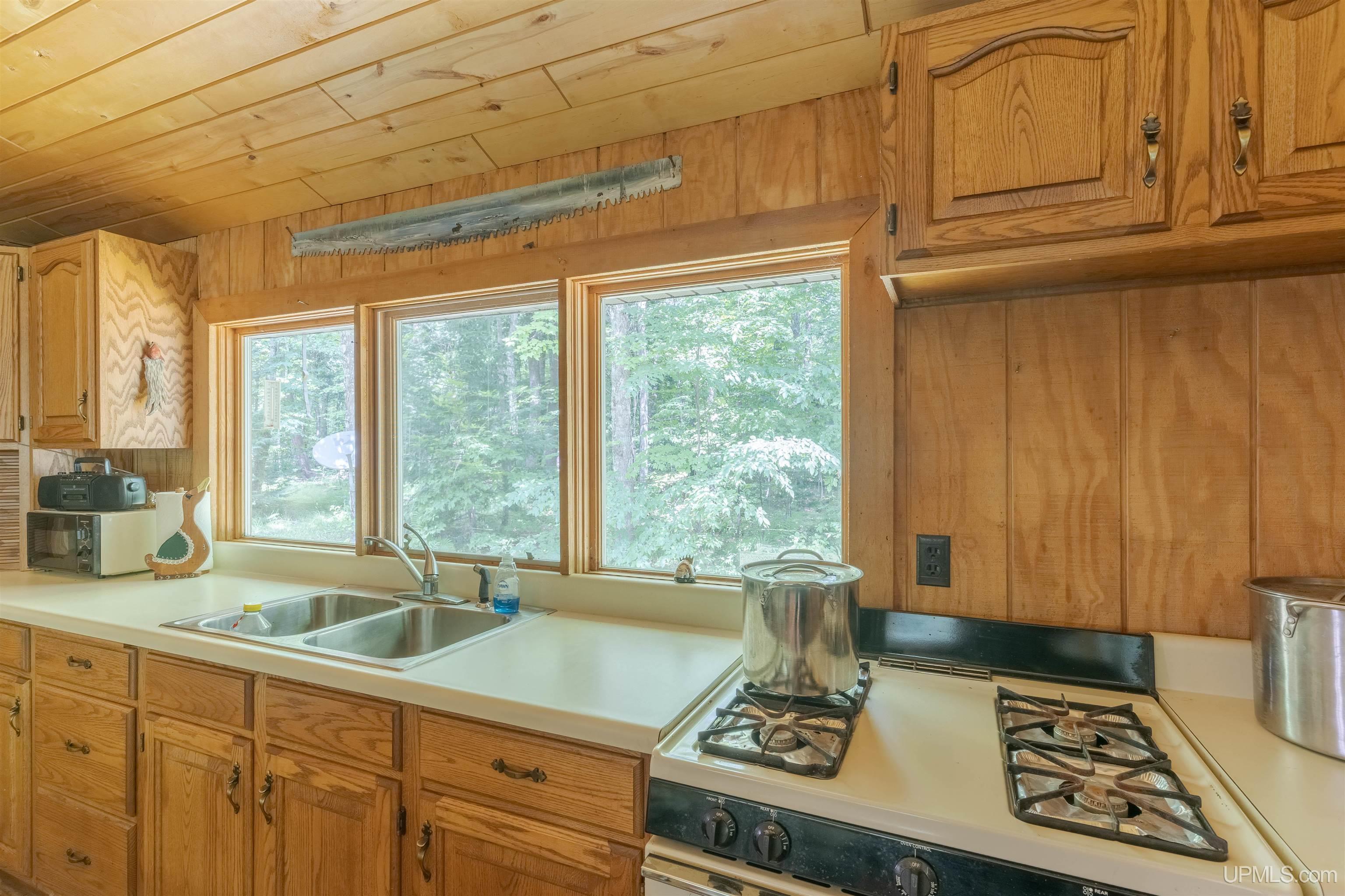 436 Federal Forest 3920 Road Iron River, MI 49935 - Photo 7 of 20