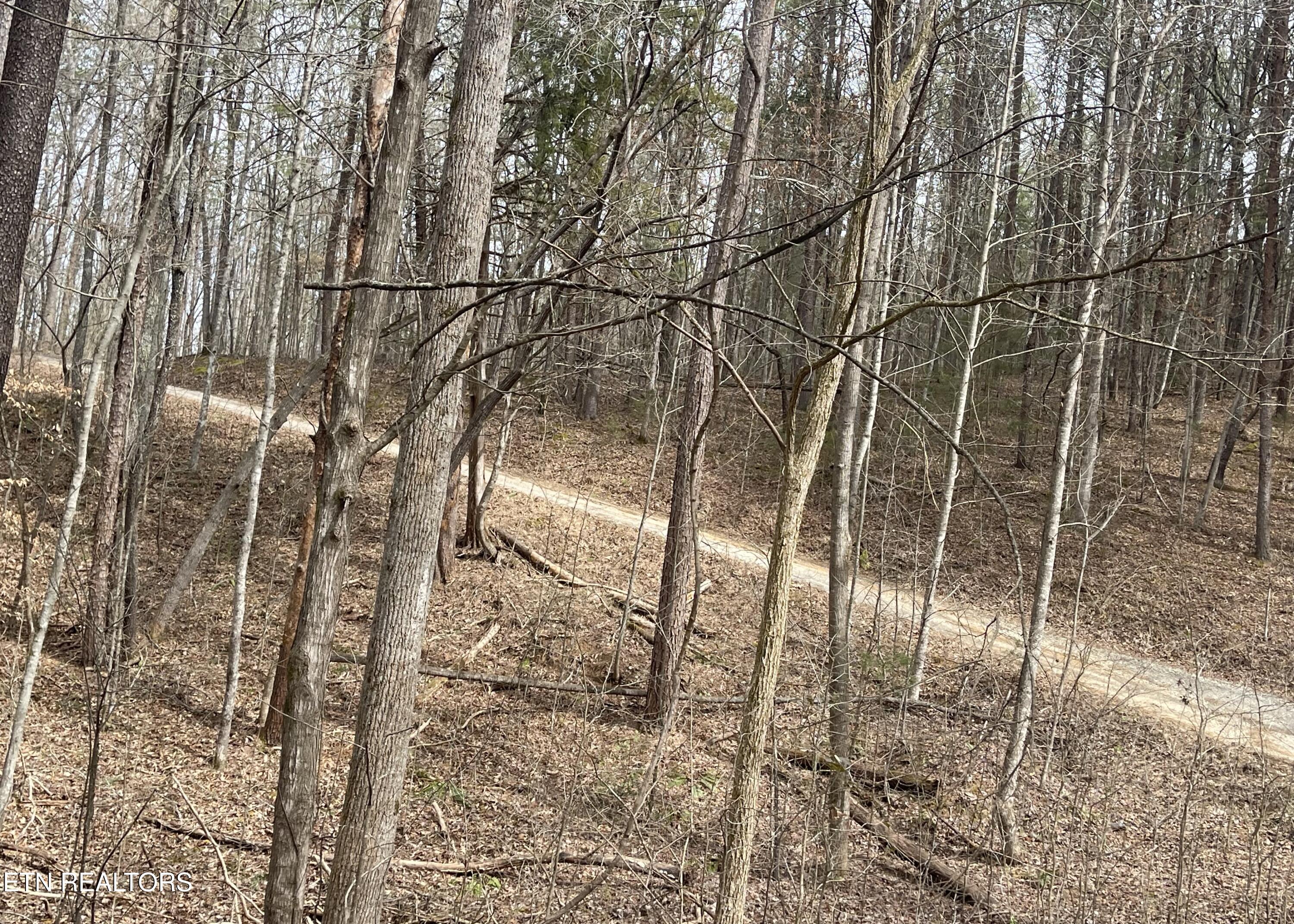 New Providence Road Tellico Plains, TN 37385 - Photo 1 of 14 IMG_0239