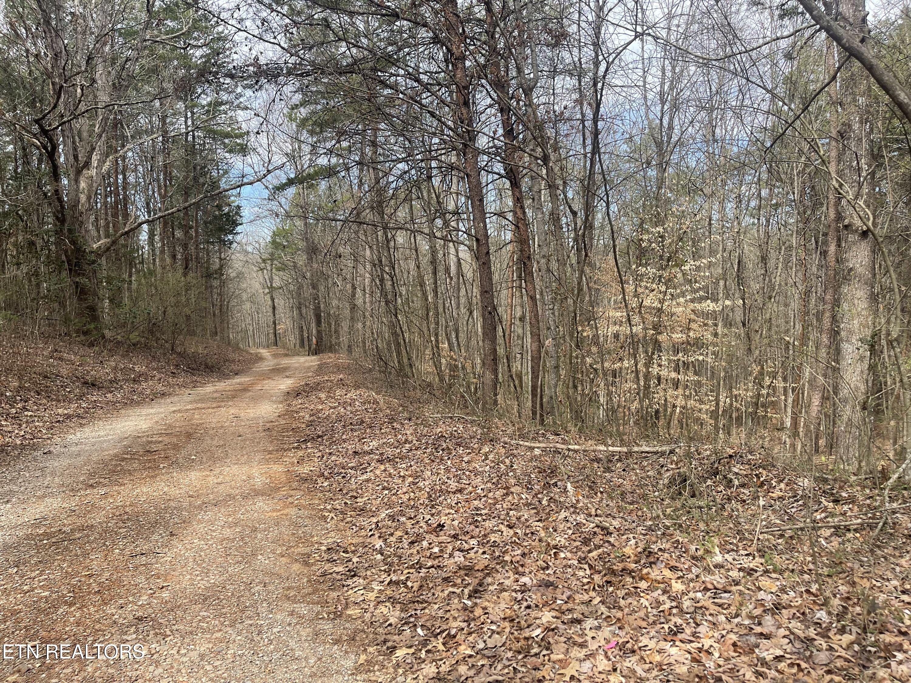 New Providence Road Tellico Plains, TN 37385 - Photo 12 of 14 IMG_0219