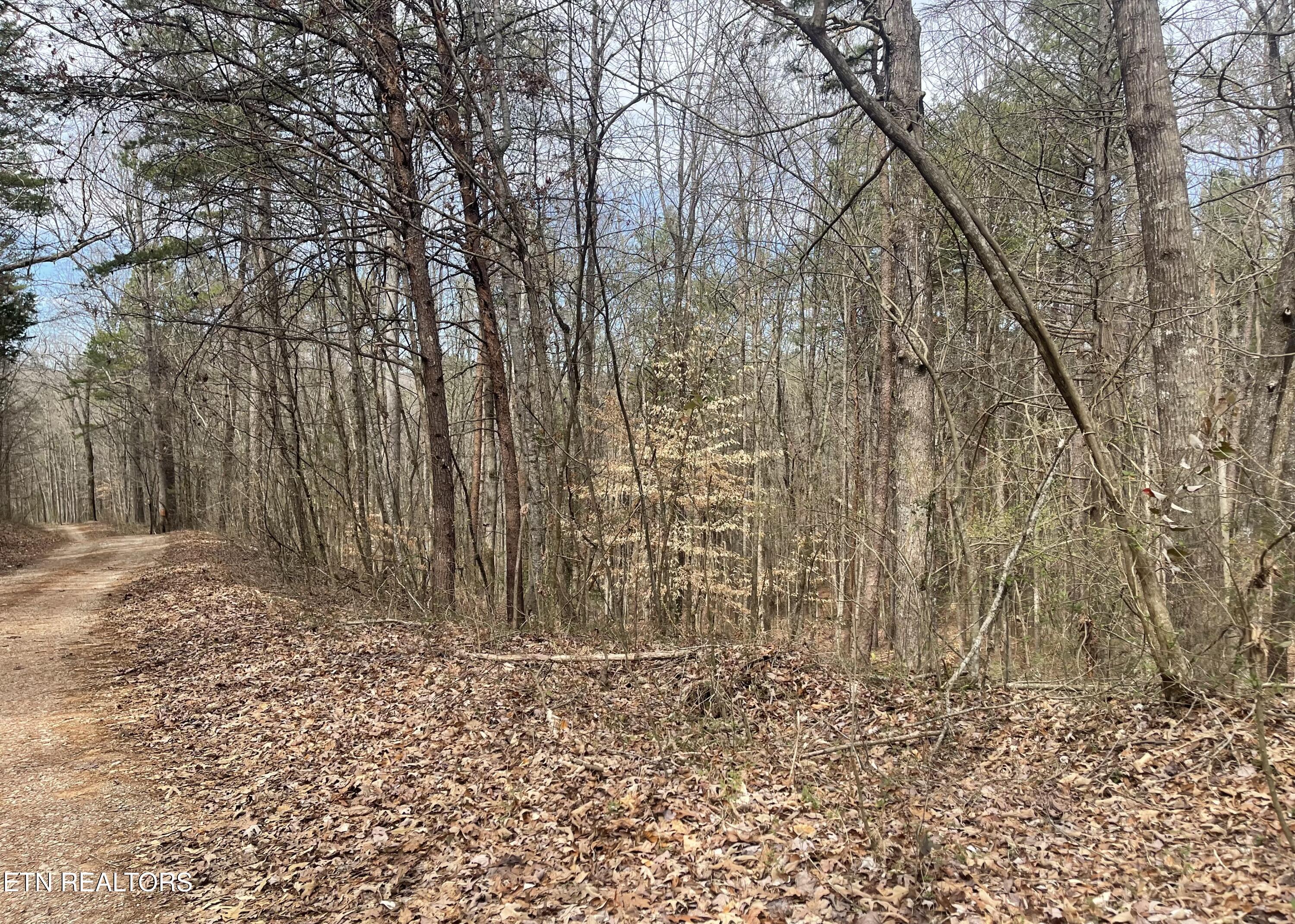 New Providence Road Tellico Plains, TN 37385 - Photo 13 of 14 IMG_0220