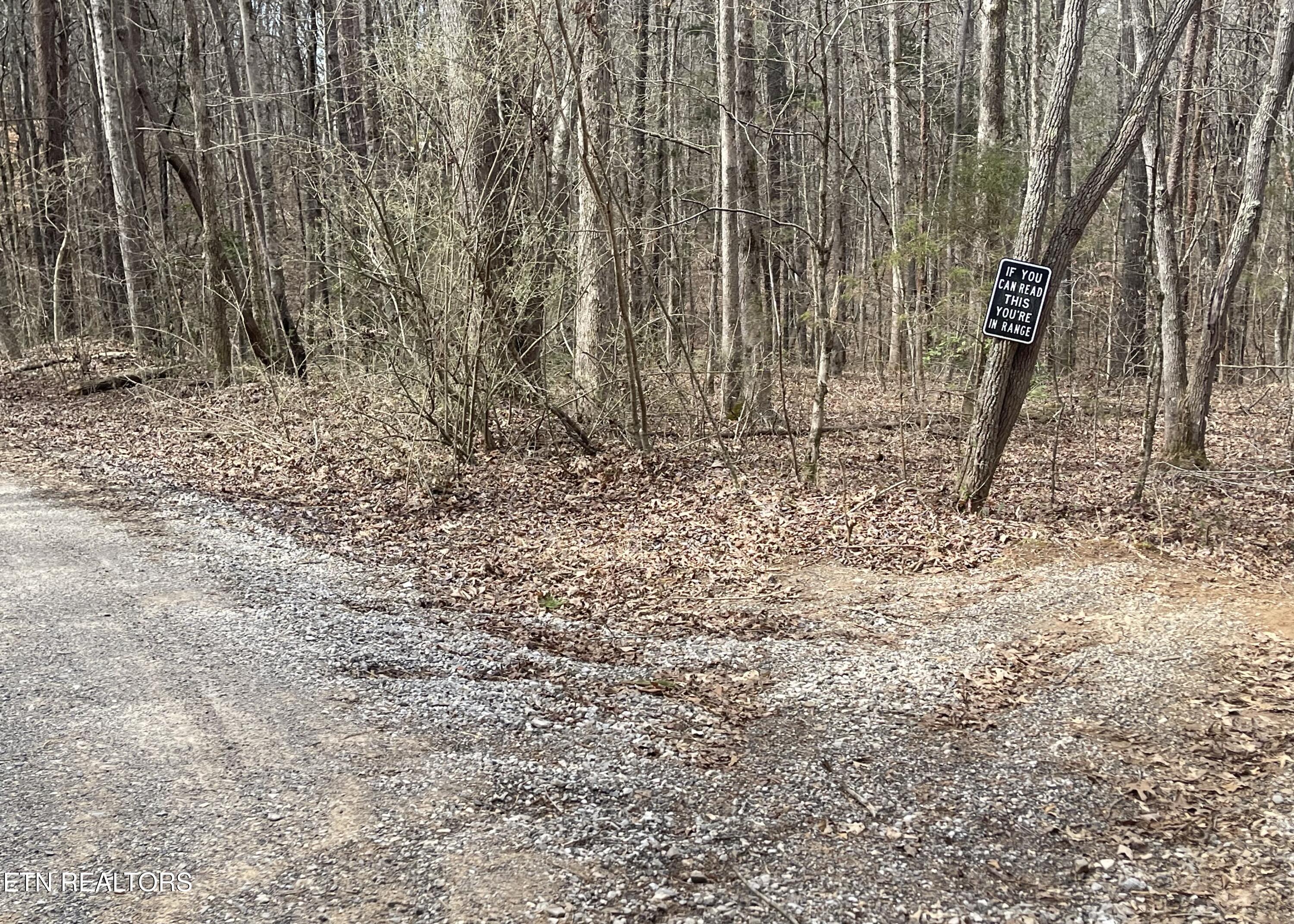New Providence Road Tellico Plains, TN 37385 - Photo 3 of 14 IMG_0236