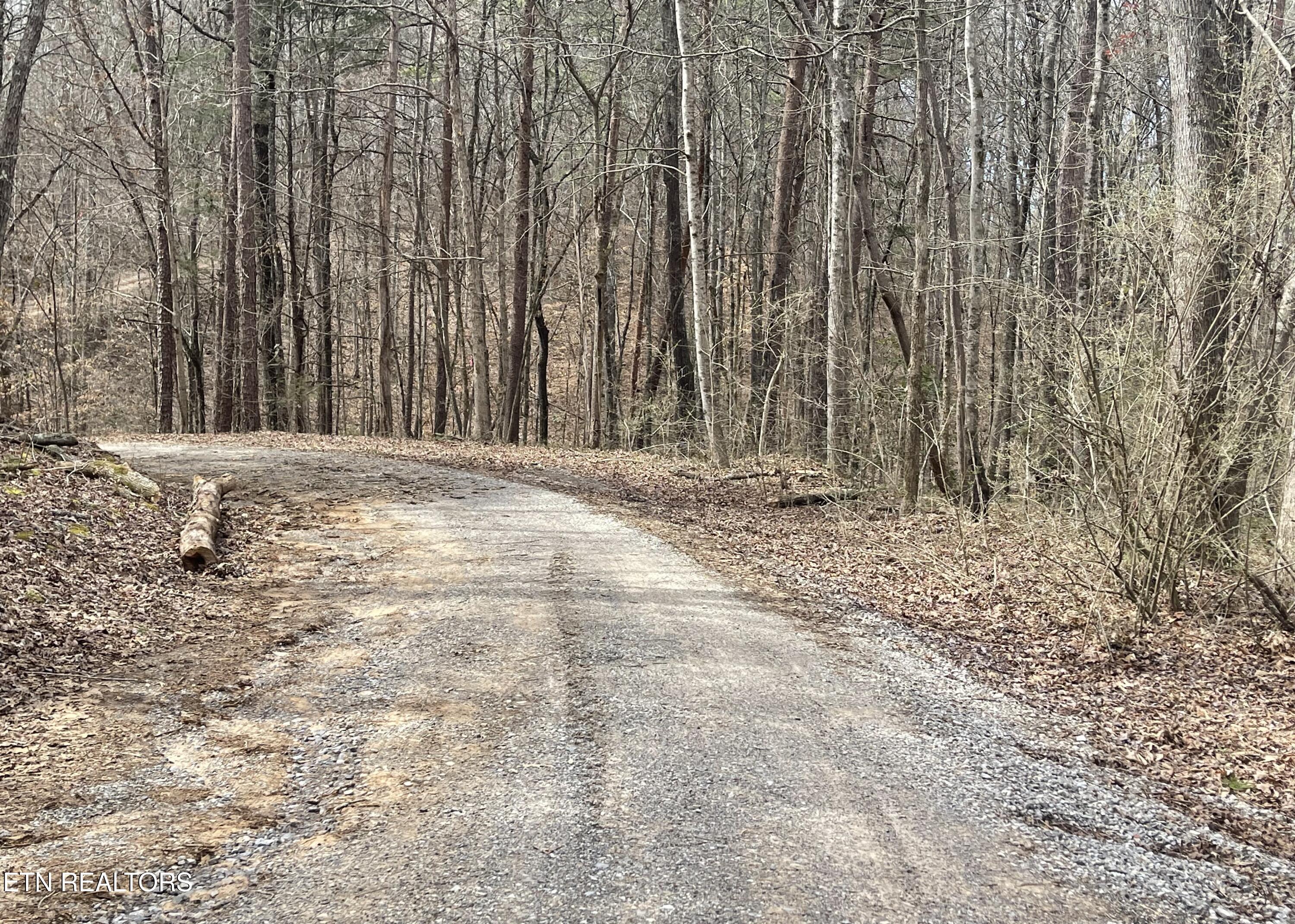 New Providence Road Tellico Plains, TN 37385 - Photo 4 of 14 IMG_0235