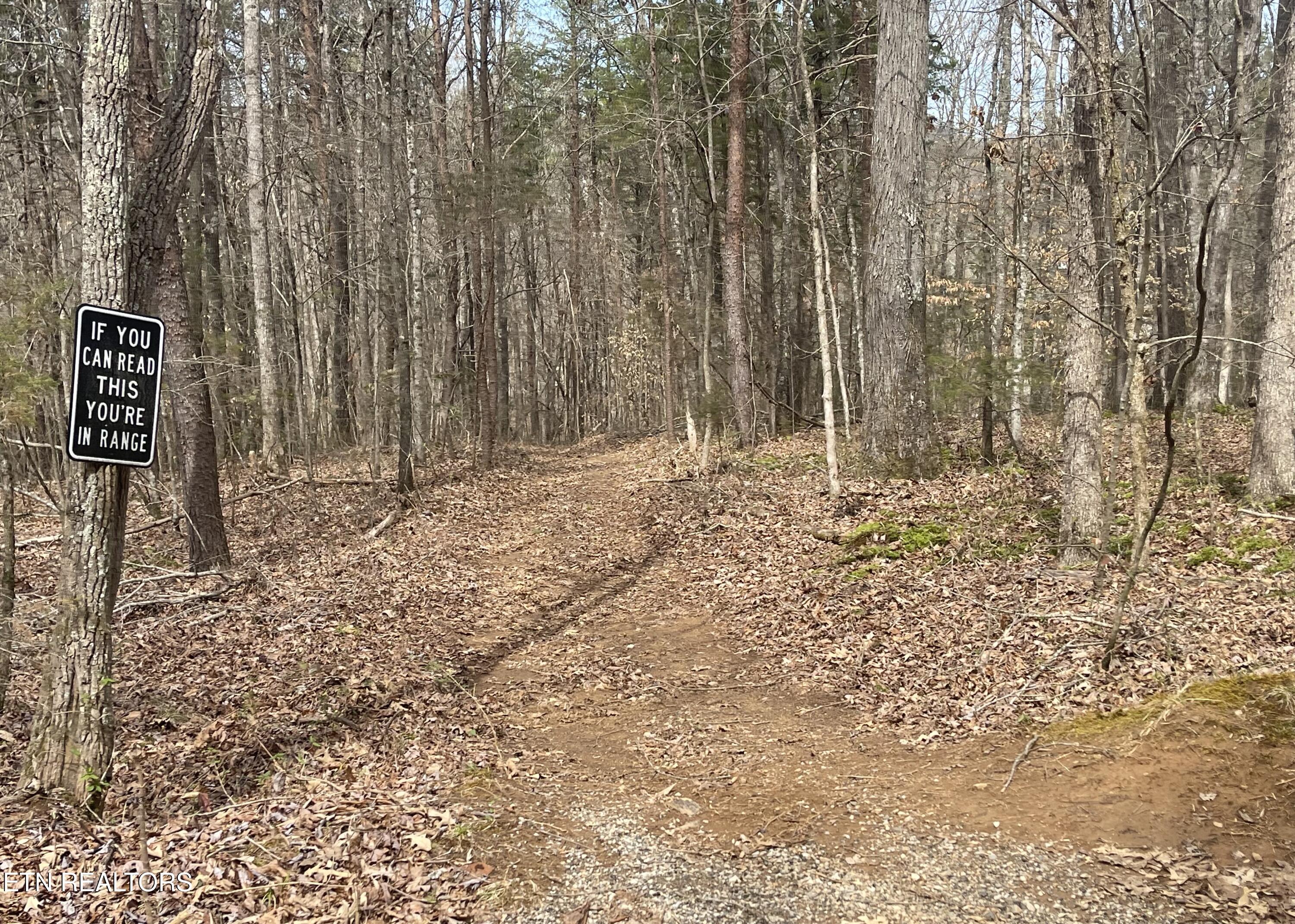 New Providence Road Tellico Plains, TN 37385 - Photo 6 of 14 IMG_0228