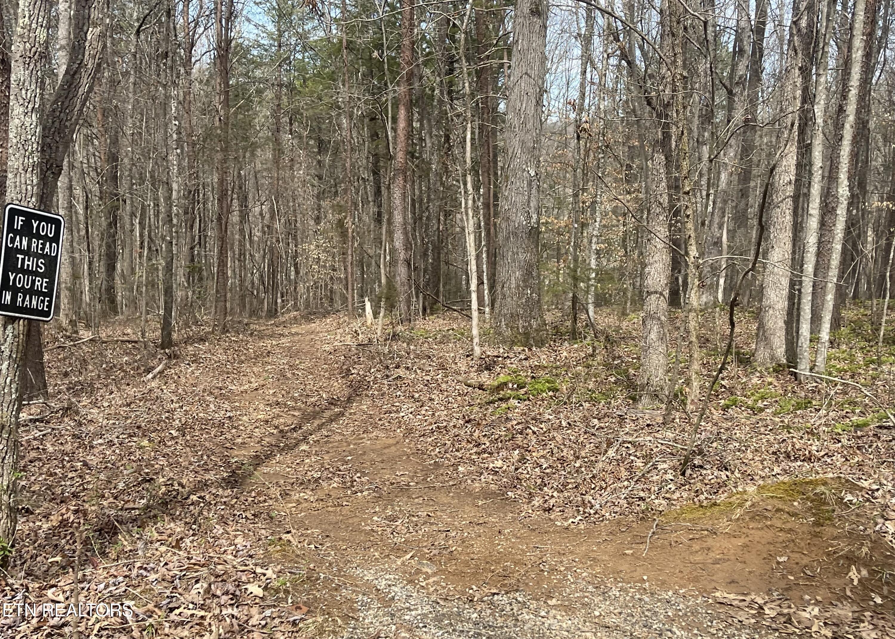 New Providence Road Tellico Plains, TN 37385 - Photo 8 of 14 IMG_0227