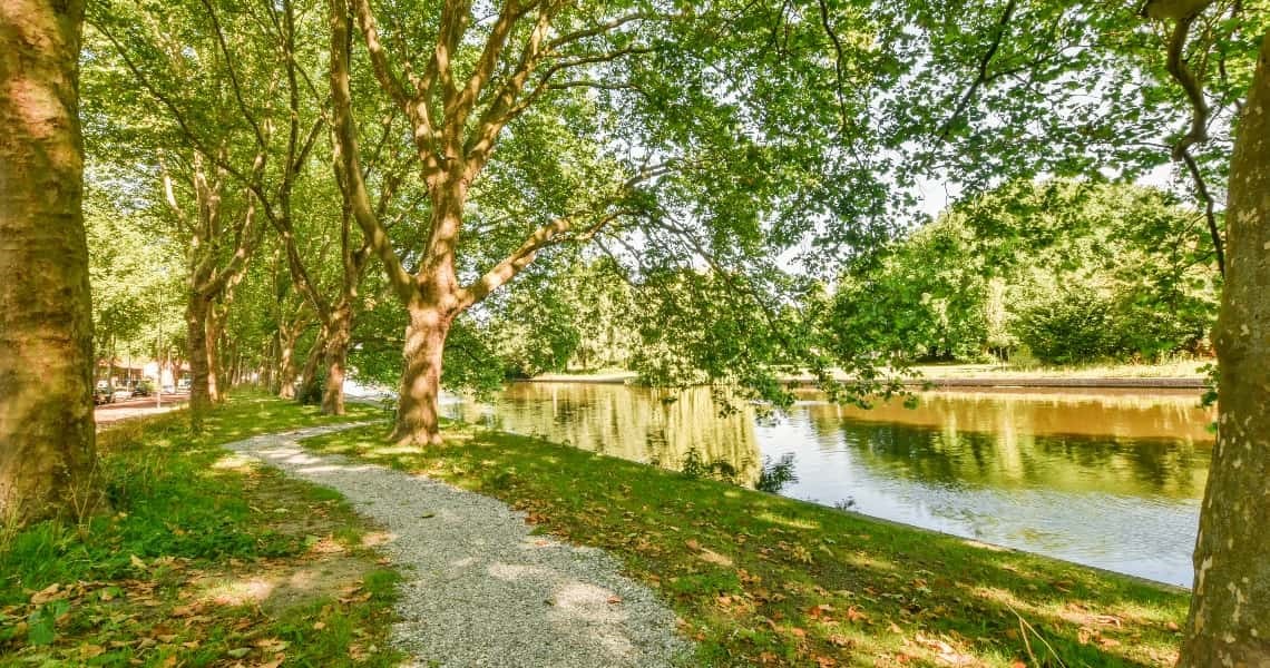 3511 Roberts Road Bay City, TX 77414 - Photo 11 of 14 a view of yard with swimming pool
