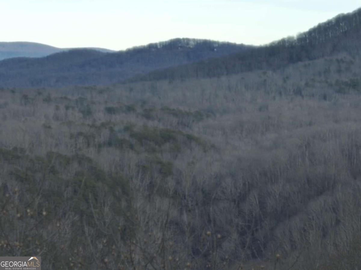 280 Andes Ridge Talking Rock, GA 30175 - Photo 39 of 45