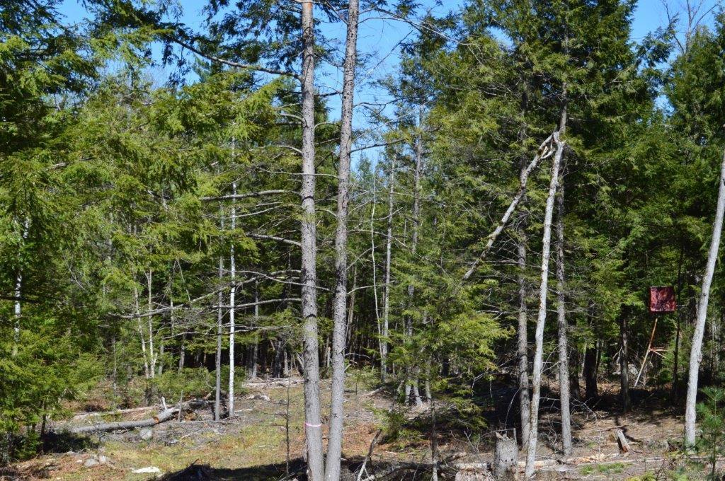 205 Academy Road Monmouth, ME 04259 - Photo 11 of 16 DSC_0043