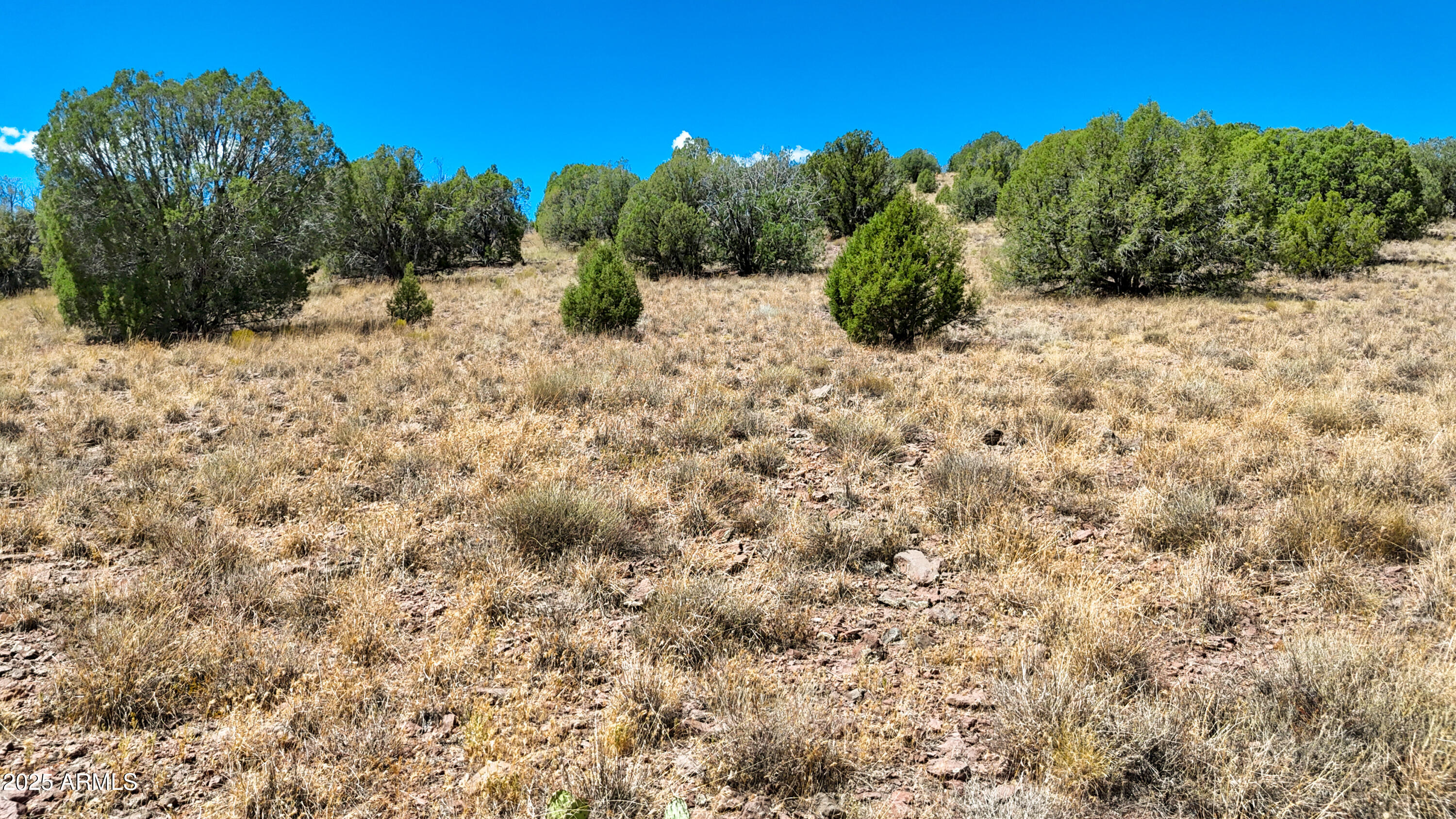 0 West Hilltop Road Chino Valley, AZ 86323 - Photo 5 of 10 a view of a bunch of trees and bushes