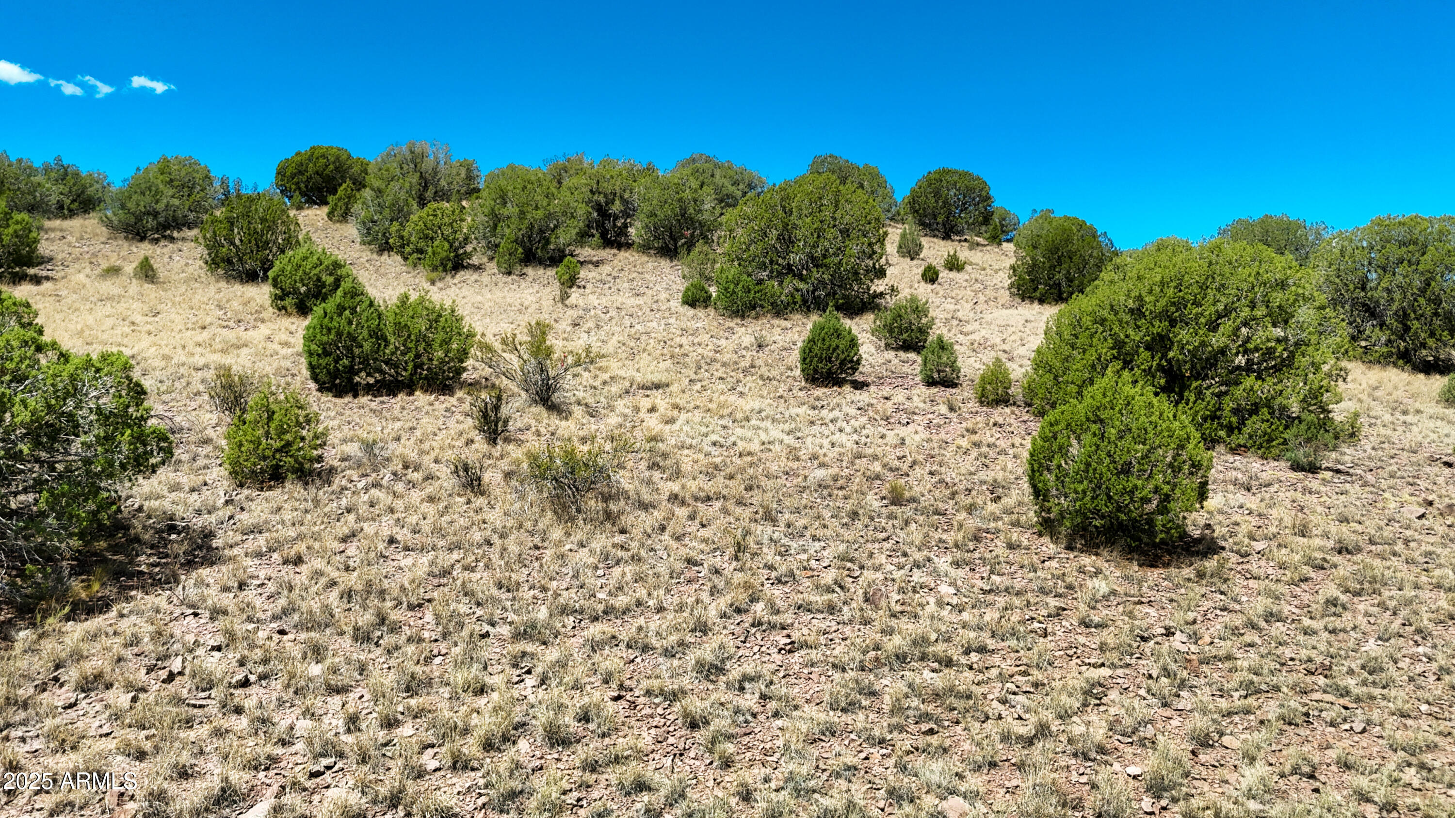 0 West Hilltop Road Chino Valley, AZ 86323 - Photo 9 of 10 a view of a backyard of the house
