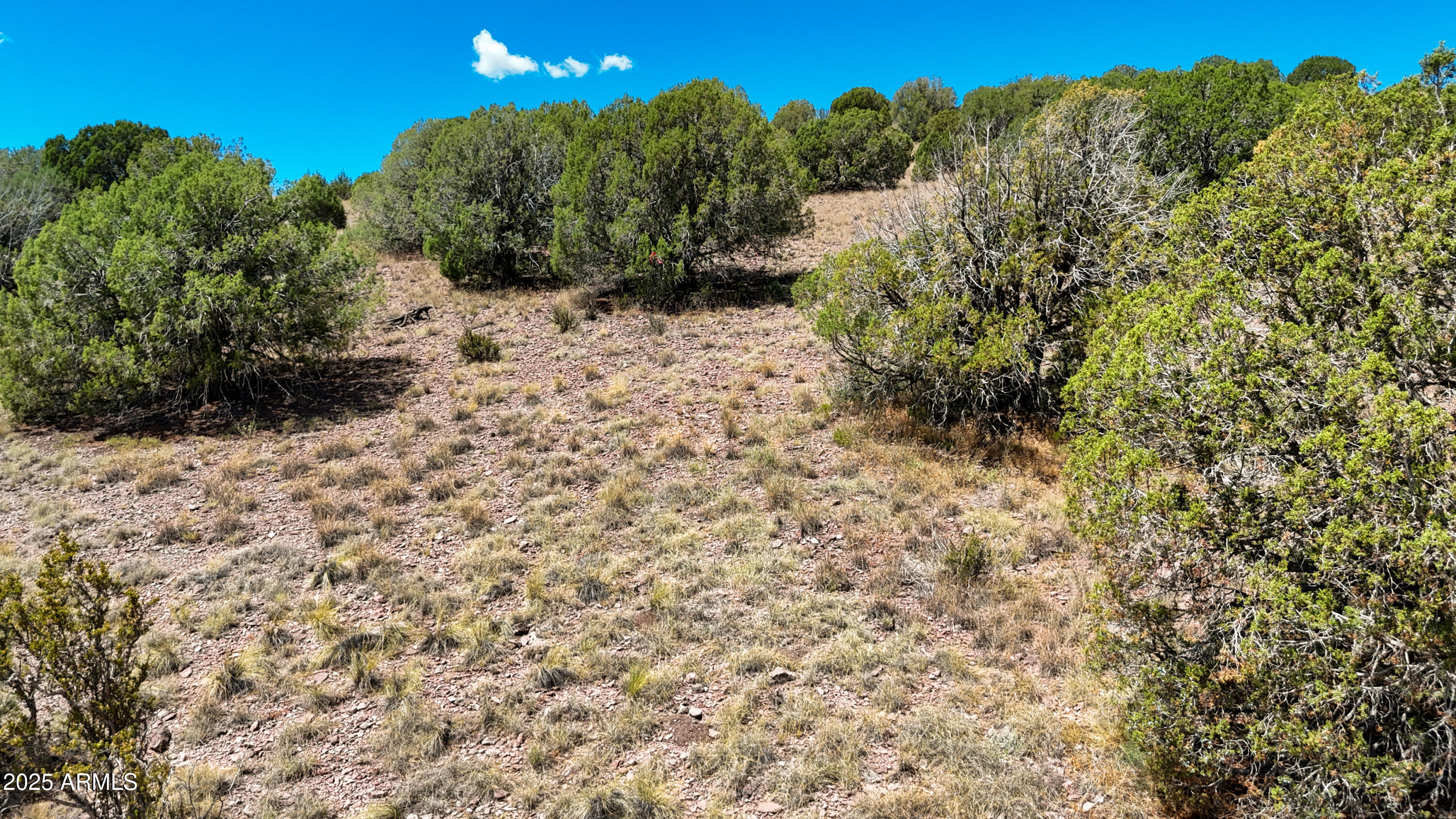 0 West Hilltop Road Chino Valley, AZ 86323 - Photo 10 of 10 a view of a backyard of a house