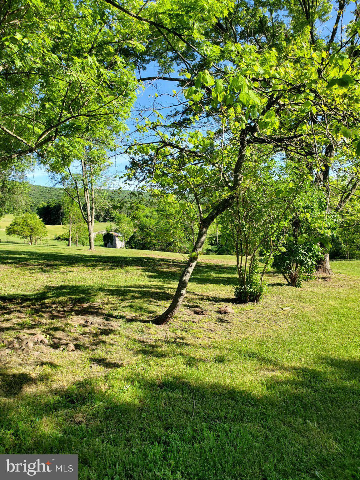 7881 Ford Hill Road Rio, WV 26755 - Photo 3 of 27 Lush greenery under a clear sky.