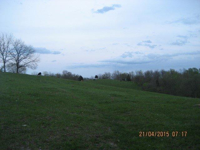 1 Buffalo Trace Road Carlisle, KY 40311 - Photo 1 of 4 Photo 1