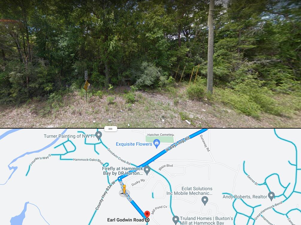 0 Earl Godwin Road Freeport, FL 32439 - Photo 7 of 9