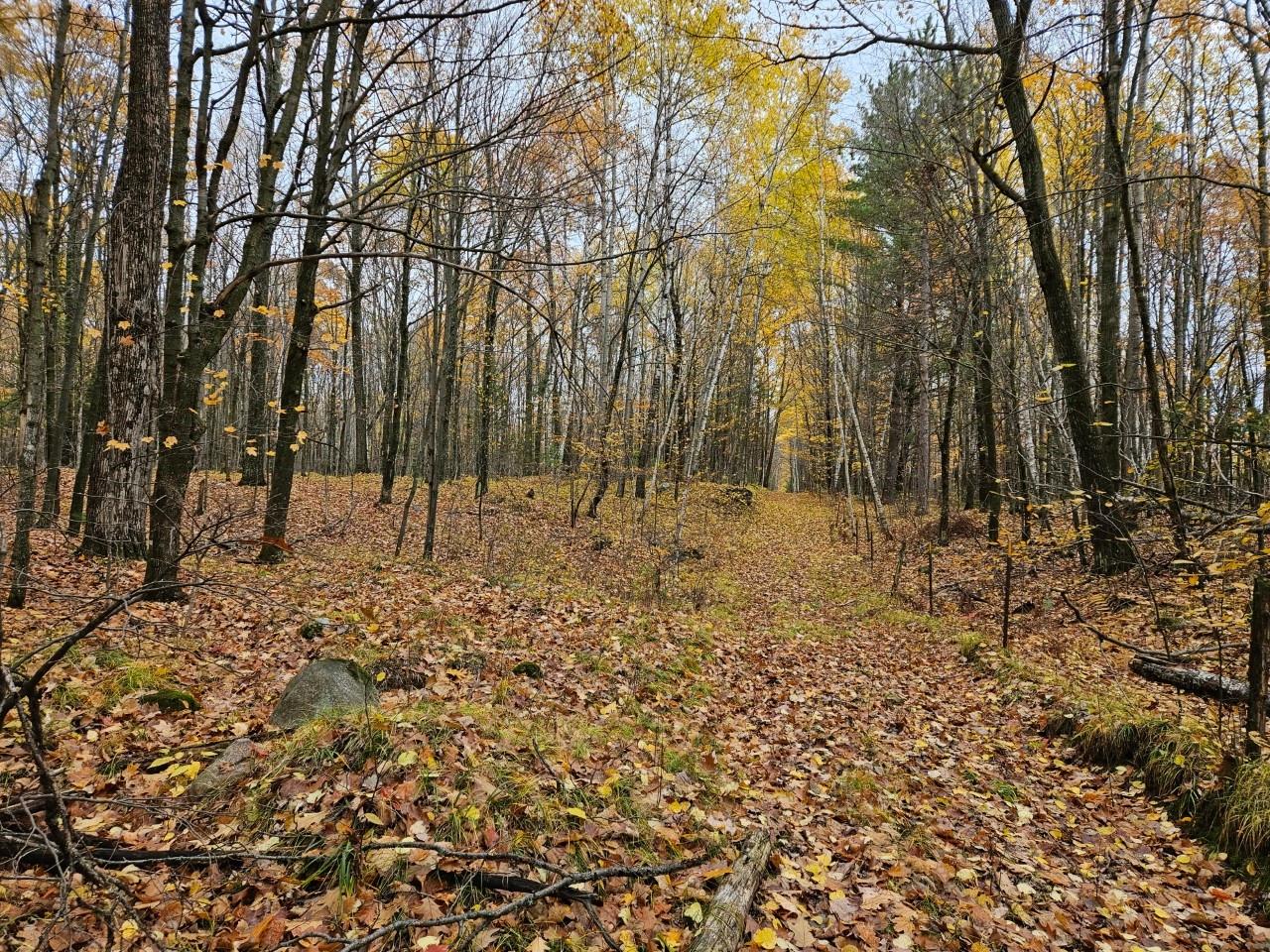 48-acres 48-acres Rifle Road Rhinelander, WI 54501 - Photo 6 of 12 Gallery Image 6