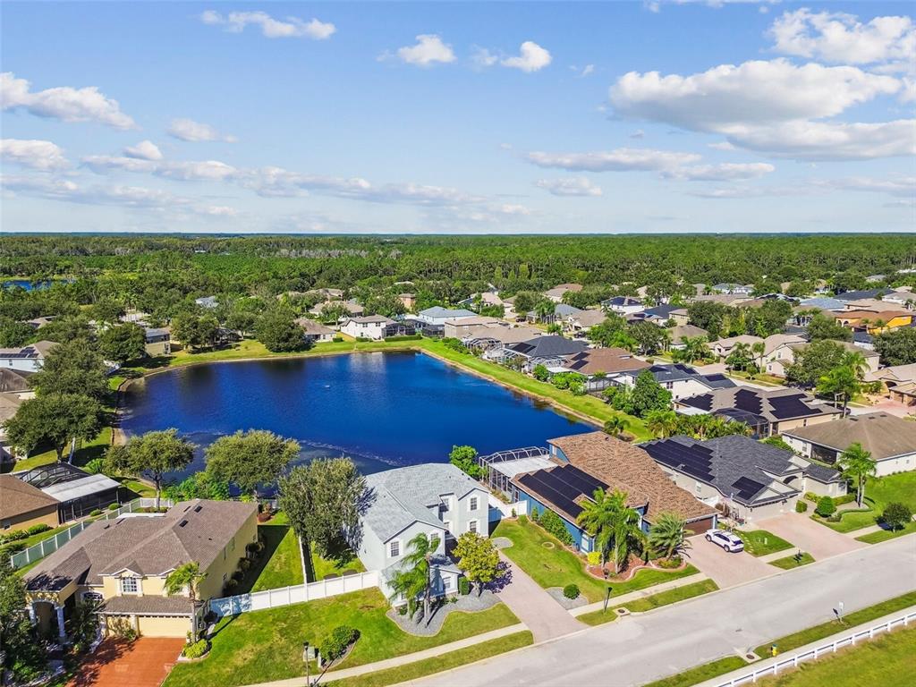 4603 Walnut Ridge Road Land O' Lakes, FL 34638 - Photo 77 of 95 Gallery Image 77