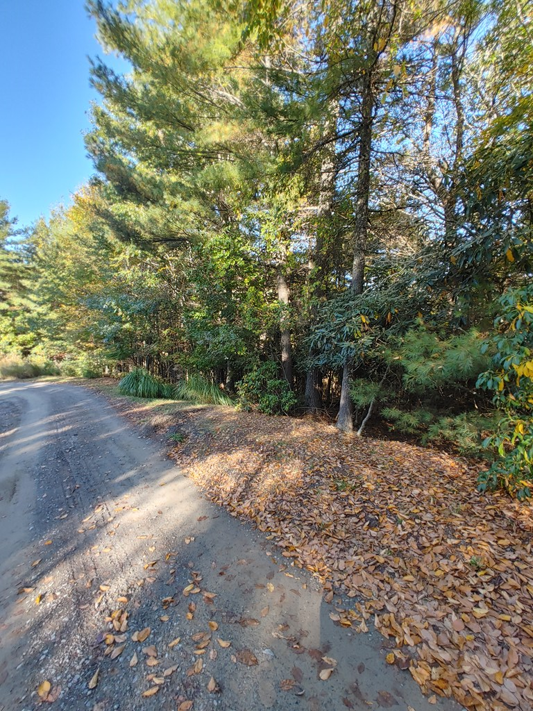 10 Upper Ridge Road, Unit 10 Meadows Of Dan, VA 24120 - Photo 23 of 30 Gallery Image 23
