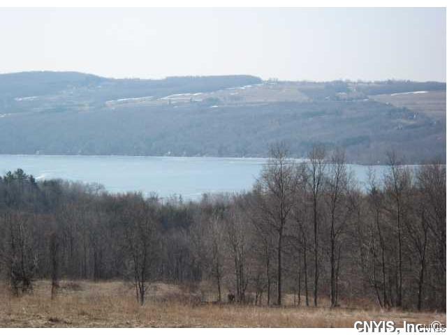 2817 Slate Hill Road Marcellus, NY 13110 - Photo 1 of 1 Land