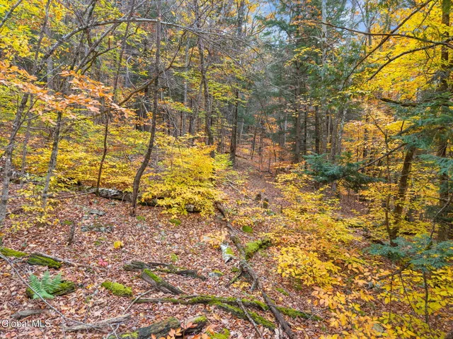 $199,900 | 1083 West Kill Road, Jefferson, NY 12093