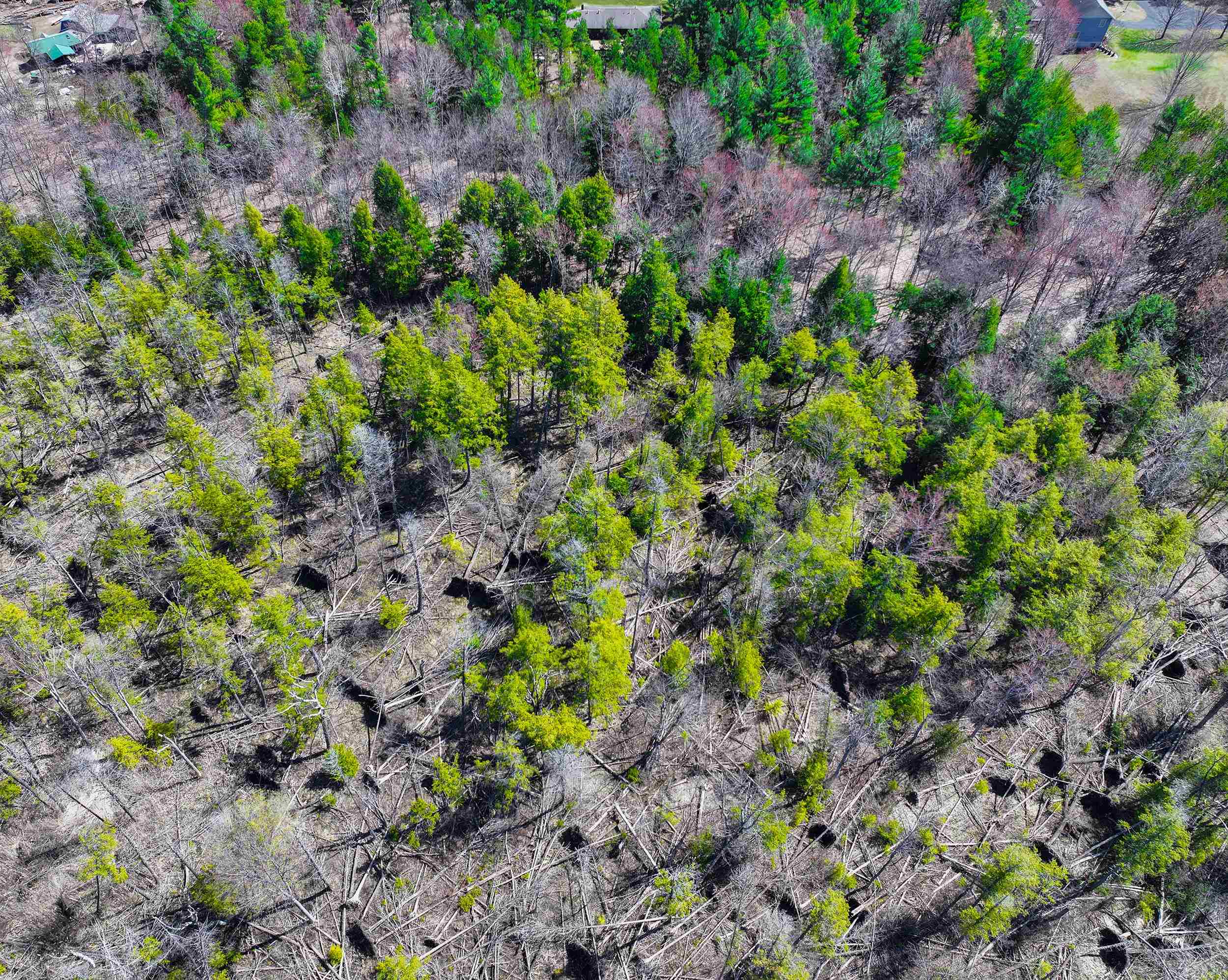 7021 Cook Road Williamsburg, MI 49690 - Photo 33 of 37 1931776-5959600c-5106-4964-9cc5-851bd6856ab2.JPG