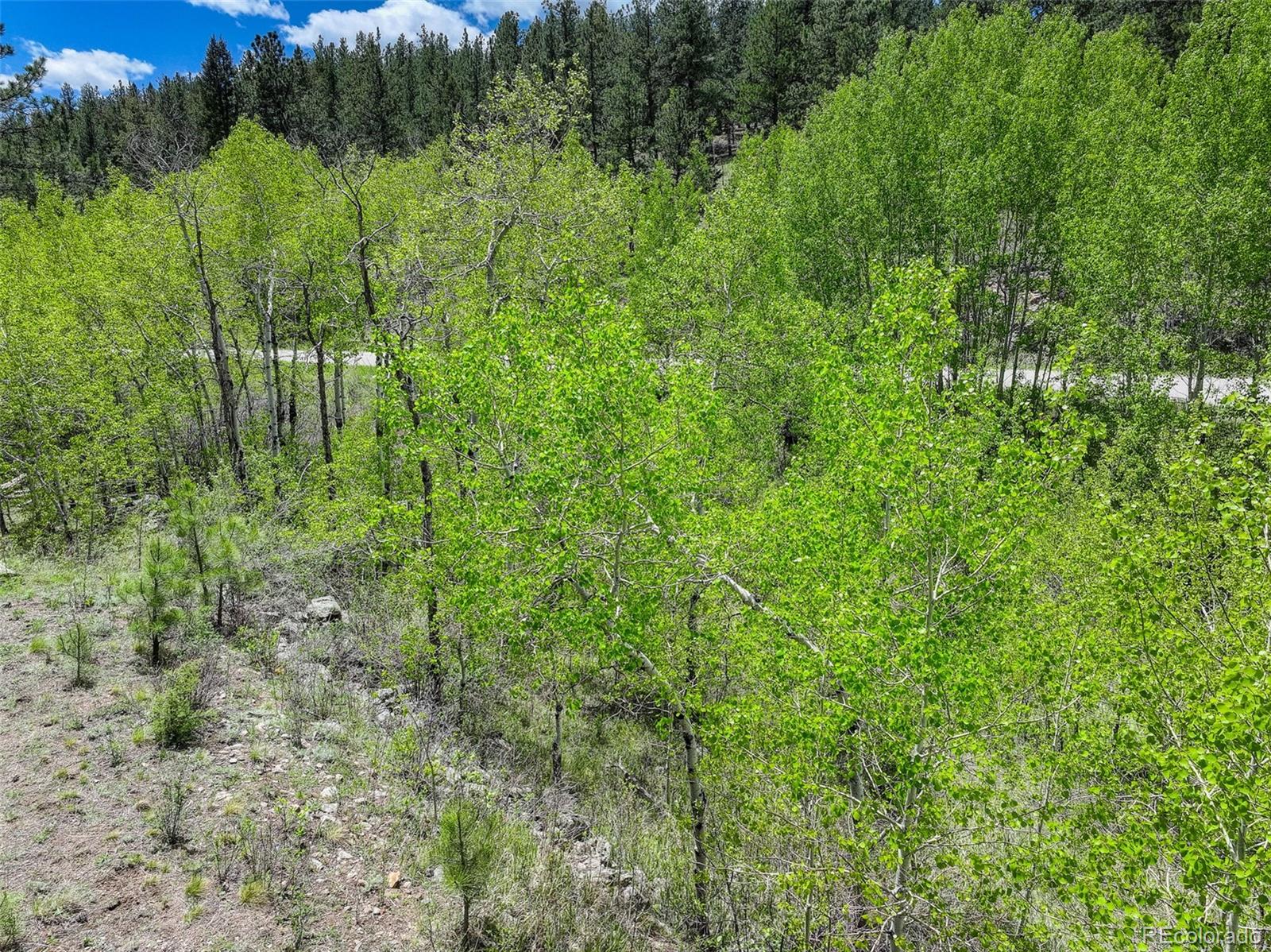 400 Crow Valley Road Bailey, CO 80421 - Photo 14 of 28