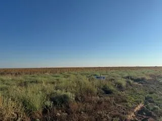 a view of a big yard