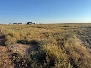 a view of a big yard